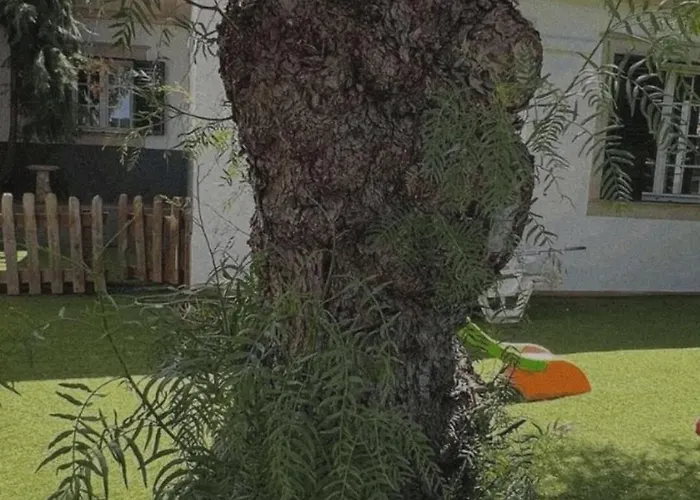 House Pilar Close To Feriehus Funchal (Madeira)