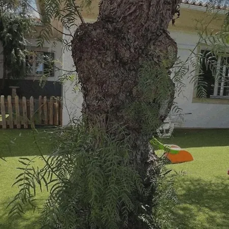 House Pilar Close To Holiday home Funchal (Madeira)